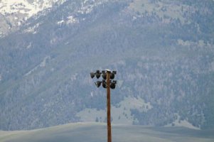 IMG_7341 bobs lens3.jpg