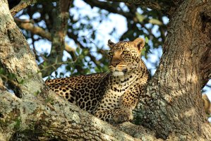Kenya-138.jpg