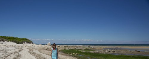 beachscape with rock cr.jpg