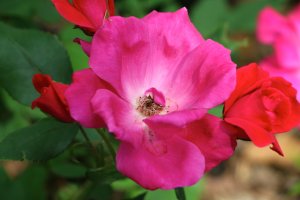 IMG_0085 copy.jpg