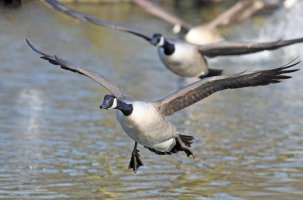 EJ8D3144 copy copy.jpg