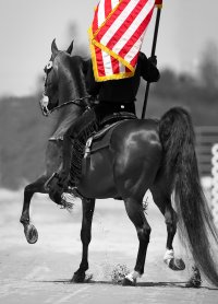 050512-sb-0005 master b&w.jpg