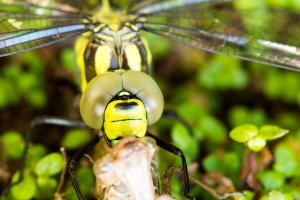 2014_06_27@09_55_40 EOS-1D X 043011002044 _1DX8109.jpg