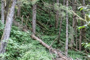 IMG_0262.jpg
