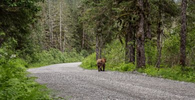 IMG_0267.jpg