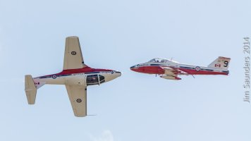 Snowbirds.jpg