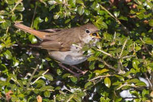 IMG_4147.jpg