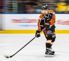 Mustangs (2 of 6).jpg