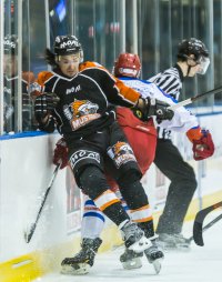 Mustangs (3 of 6).jpg