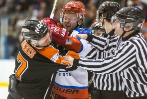 Mustangs (5 of 6).jpg