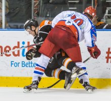 Mustangs (6 of 6).jpg