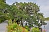 Magnolia Plantation - River Garden.jpg