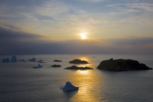 CKO_9588 - 2014-07-02 at 17-50-19.jpg