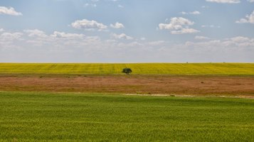IMG_0651.jpg