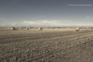 Rural 11.jpg