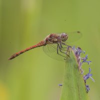 EC6Q2134.jpg