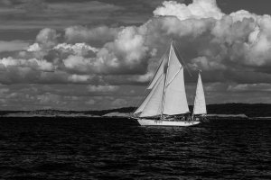 20140719-IMG_3799_2014-07-19-102 mm-2-small.jpg