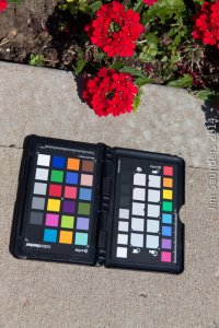 color profile.jpg