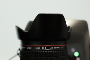 2014-08-14 Export (1 of 1).jpg