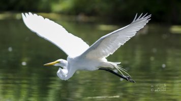 r1080 Aug 6 2014 dated signed_MGL0034.jpg