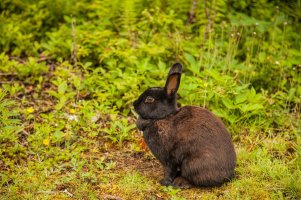 IMG_5892_edited-2.jpg