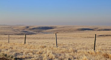 0355 (1 of 1)_DxO.jpg