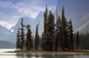 _MG_8917 copy_DxO.jpg