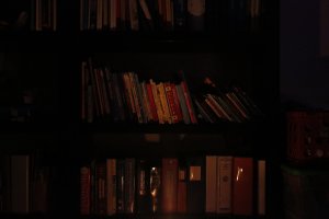 _61A9207.JPG