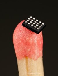 chip-3.jpg