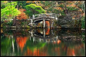 Bridge in a Forest.jpg