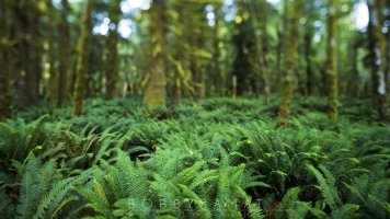 Panorama 5DB_7984 + 5DB_7985 + 5DB_7986 2560x1440 100ppi.jpg