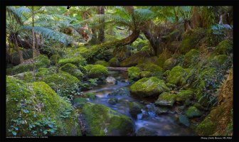 r-creek_1_1 Panorama (1).jpg