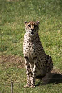 IMG_1910.jpg