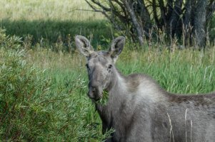 _MG_5420_DxO.jpg