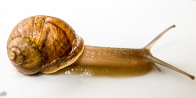 20130507-DSC01377.jpg