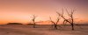 Ali_Elhajj_The Salton Sea.jpg