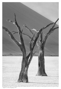 IvanM-Namibia2014-1402-B&W-s.jpg