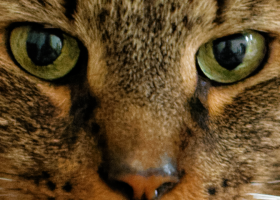 2014-09-12 10_36_46-_e9q0805_id.jpg - Windows Photo Viewer.png