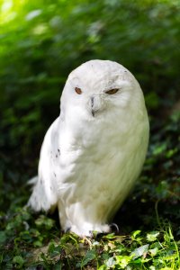 IMG_0865.jpg