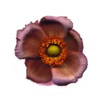 Scan-140916-0011 2_2048.jpg