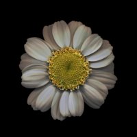 Scan-140916-0010 2_2048.jpg