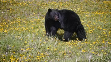 _MG_4141 - Version 3.jpg