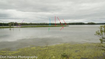 IMG_0226a.jpg