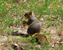 IMG_3342-4 (1024x816).jpg