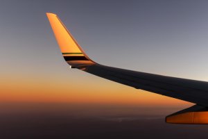 plane wing green flash c small.jpg