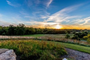 Sunset at Glenwood Gardens-1-9.jpg