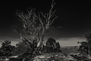 Midnight Morning-.JPG