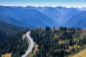Olympic_National_Park_-_Hurricane_Ridge-15.jpg