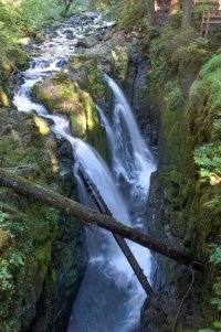 Olympic_National_Park_-_Sol_Duc_Falls-1.jpg