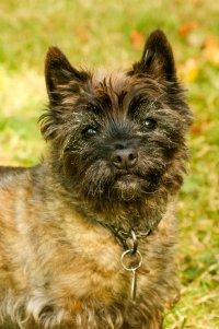 068-Sep 04 2010_1622-2.jpg